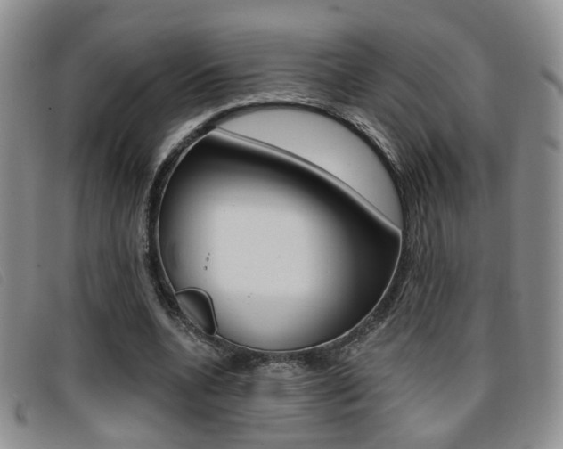 X0000096710536200802051039
