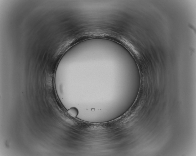 X0000096710537200802051039