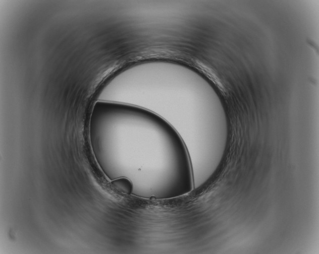 X0000096710538200802051039