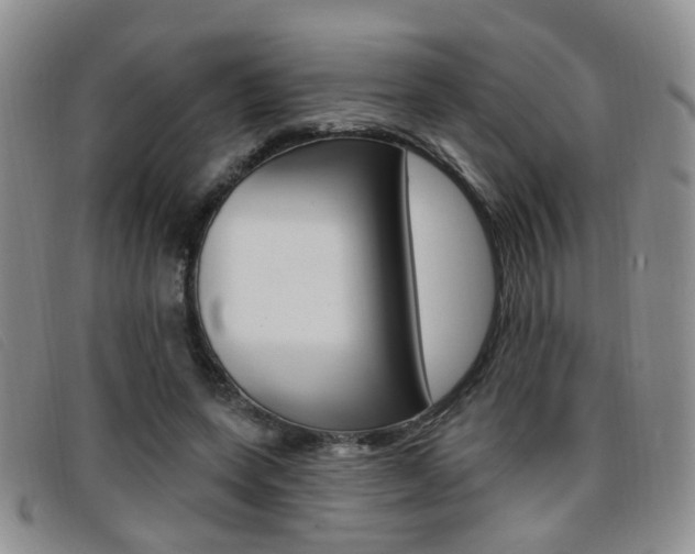 X0000096710543200802051040