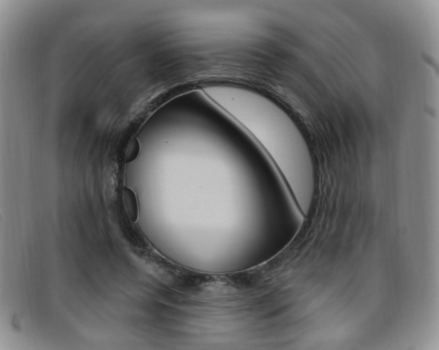 X0000096710544200802051040