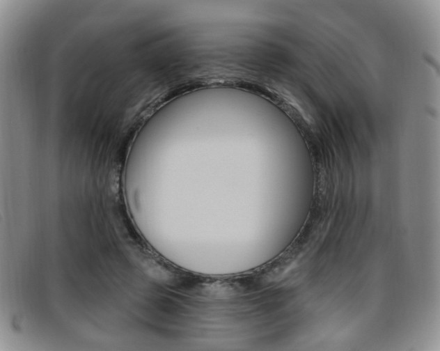 X0000096710545200802051040