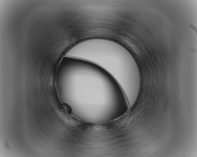 X0000096710546200802051040