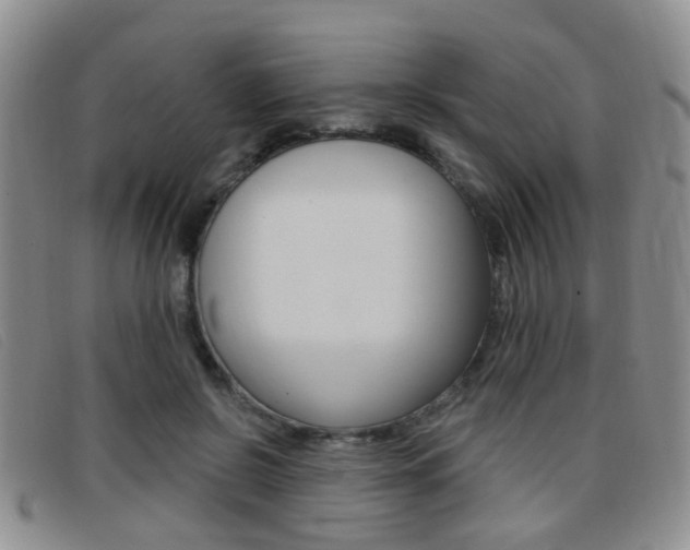 X0000096710550200802051040