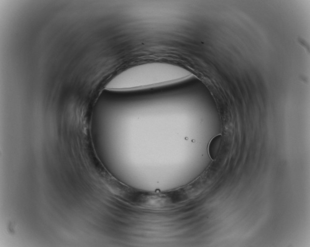 X0000096710555200802051040