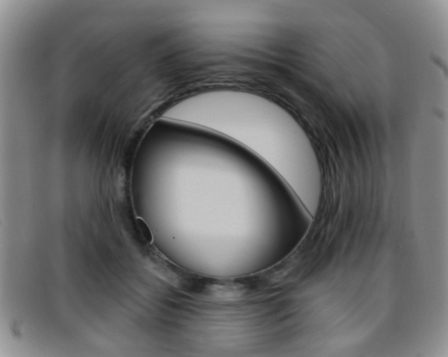 X0000096710556200802051040