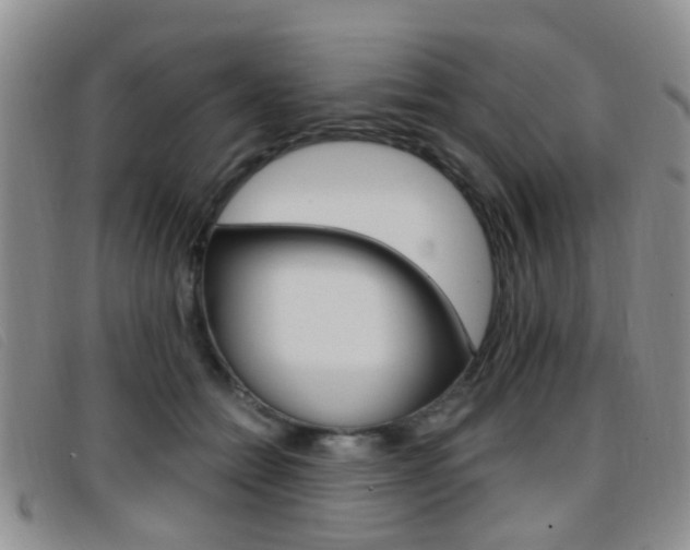 X0000096710558200802051040