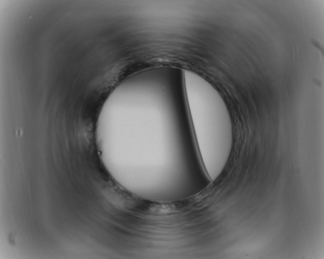X0000096710559200802051040