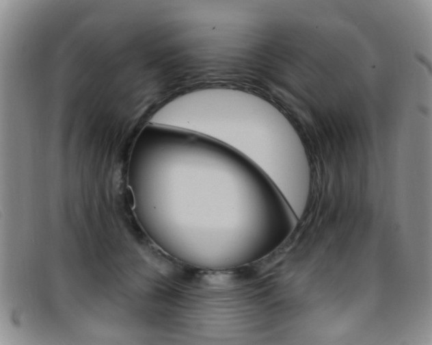 X0000096710560200802051040