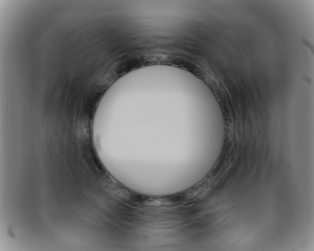 X0000096710561200802051040