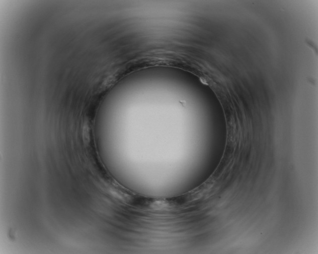 X0000096710562200802051040