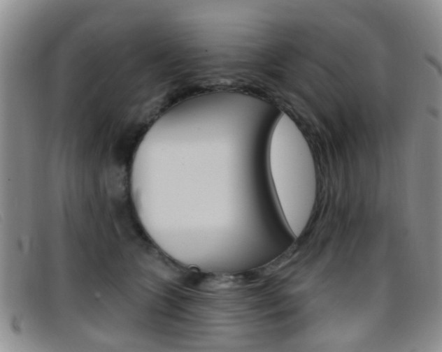 X0000096710563200802051040