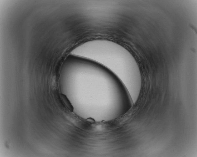 X0000096710564200802051040
