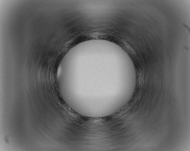 X0000096710569200802051040