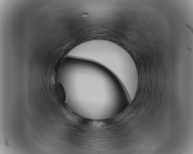 X0000096710570200802051040