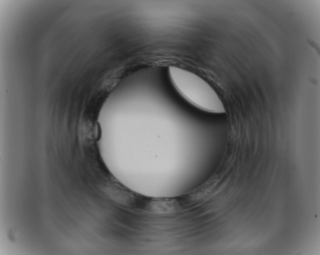 X0000096710571200802051040