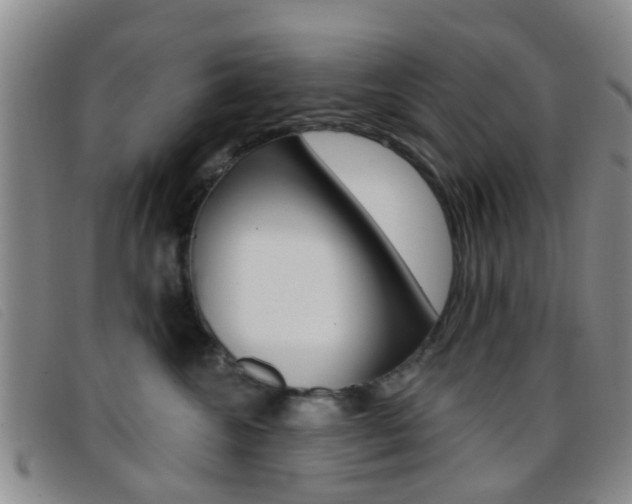 X0000096710572200802051040