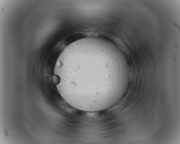 X0000096710573200802051040