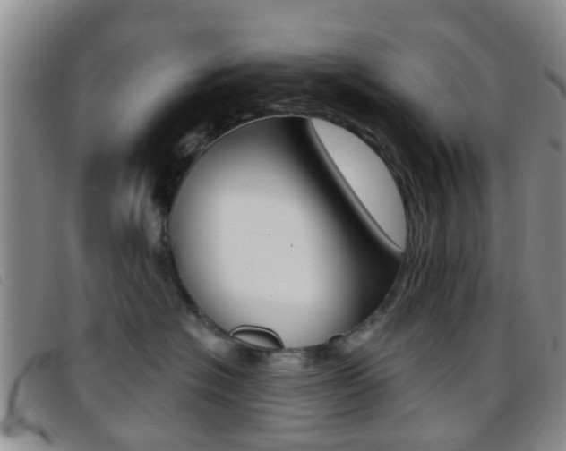 X0000096710574200802051040