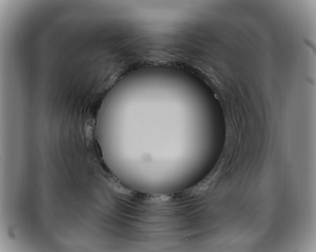 X0000096710576200802051040
