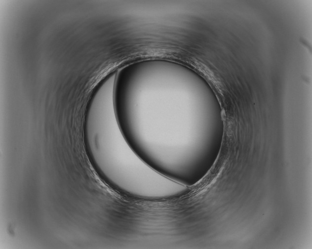 X0000096710577200802051039