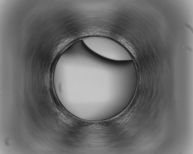 X0000096710578200802051039