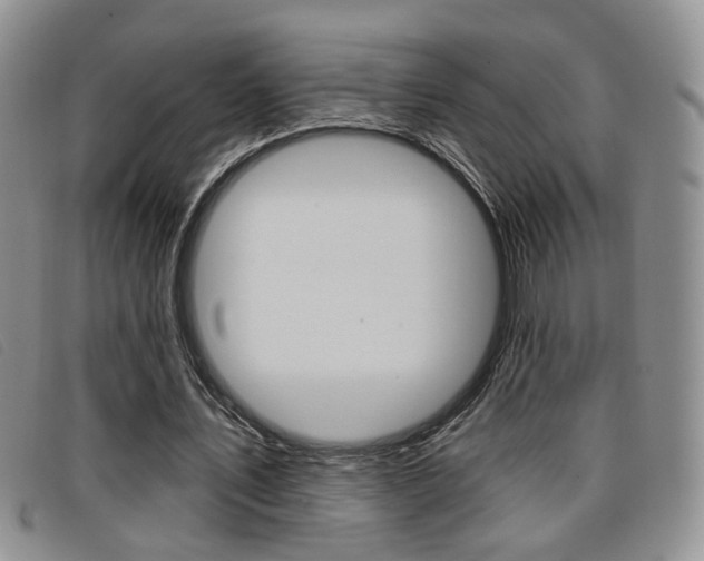 X0000096710579200802051039