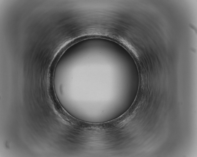 X0000096710580200802051039