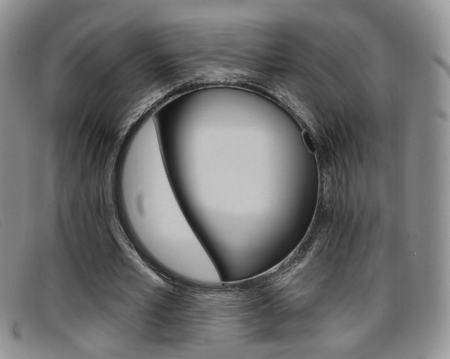 X0000096710581200802051039