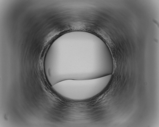 X0000096710583200802051039