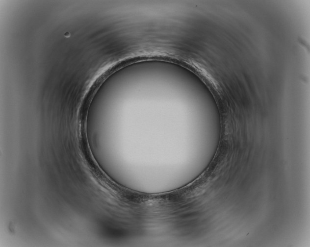 X0000096710584200802051039