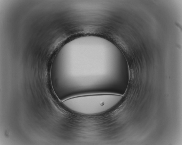 X0000096710588200802051039