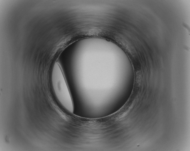 X0000096710589200802051039
