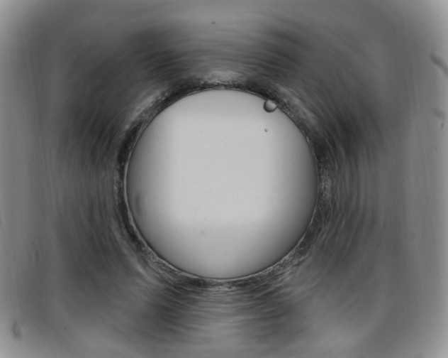 X0000096710591200802051039