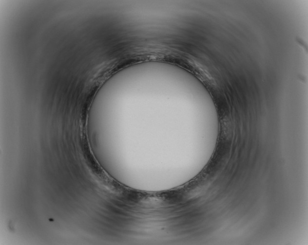 X0000096710594200802051039