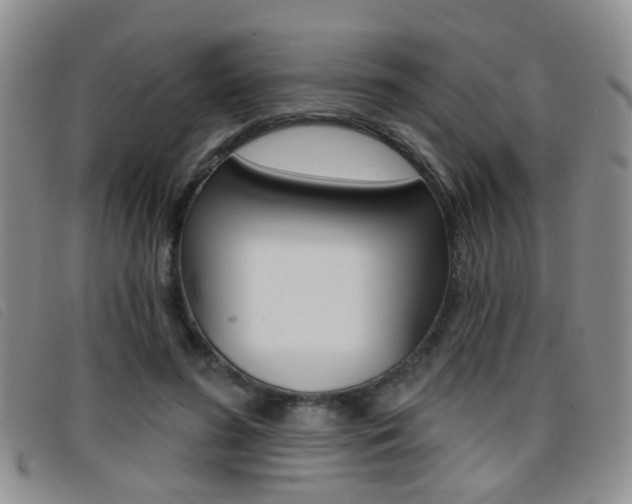 X0000096710596200802051039