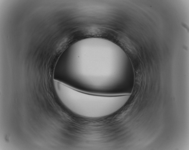 X0000096710597200802051039