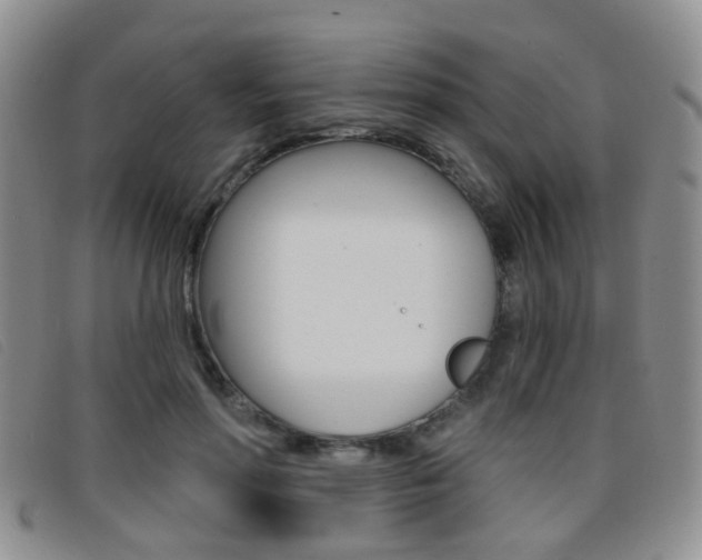 X0000096710598200802051039