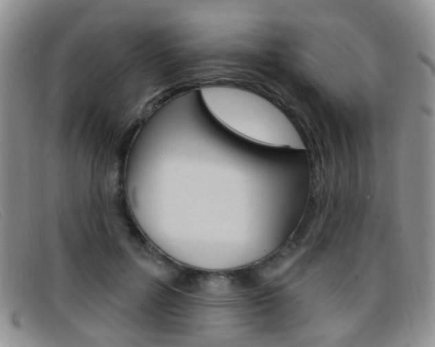 X0000096710600200802051039