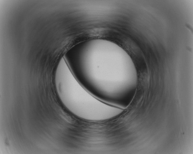X0000096710601200802051039