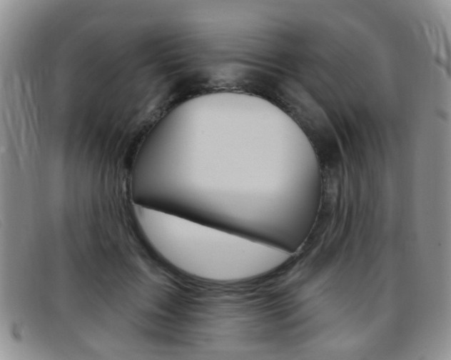 X0000096710603200802051039