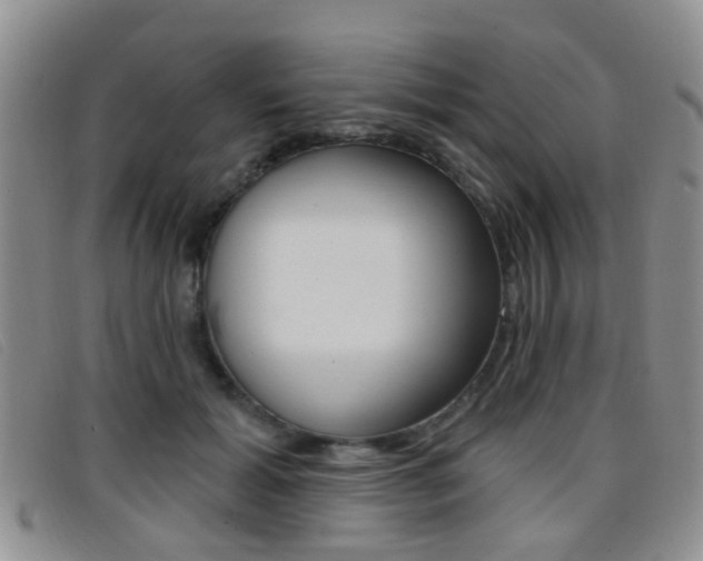 X0000096710605200802051039