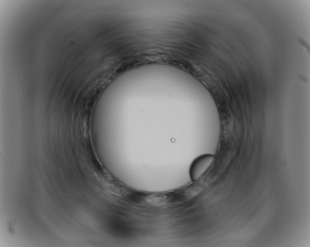 X0000096710606200802051039