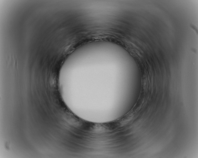 X0000096710608200802051039