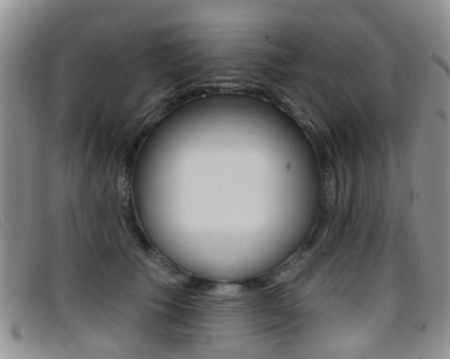X0000096710609200802051039