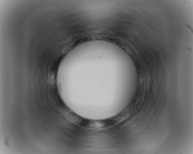 X0000096710610200802051039