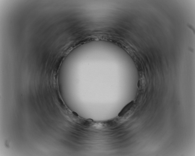 X0000096710611200802051039