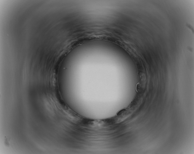 X0000096710612200802051039