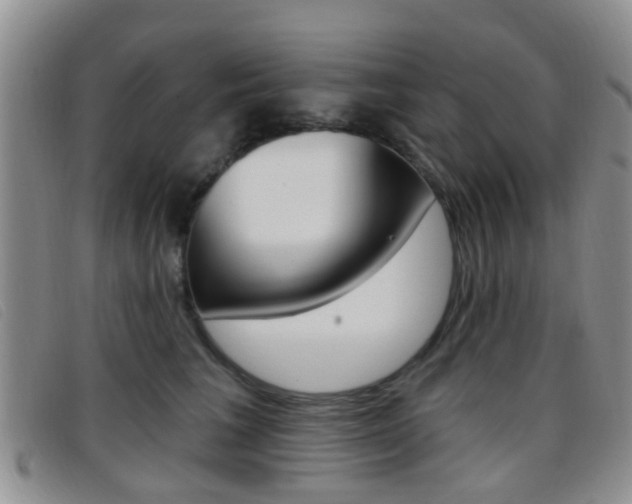 X0000096710613200802051039
