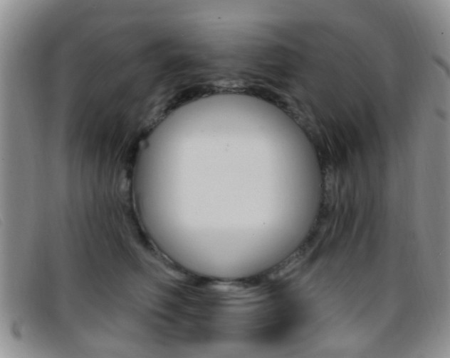 X0000096710614200802051039